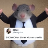 A Mouse Called Mr Chedda, And This Week's Other Best Memes, Ranked