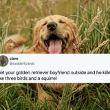 Golden Retriever Boyfriends, And This Week's Other Best Memes, Ranked