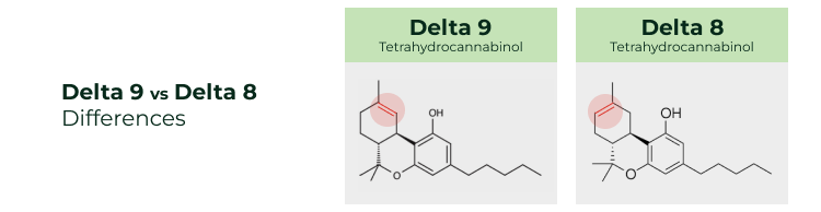 Delta 8 vs Delta 9 chemical structure